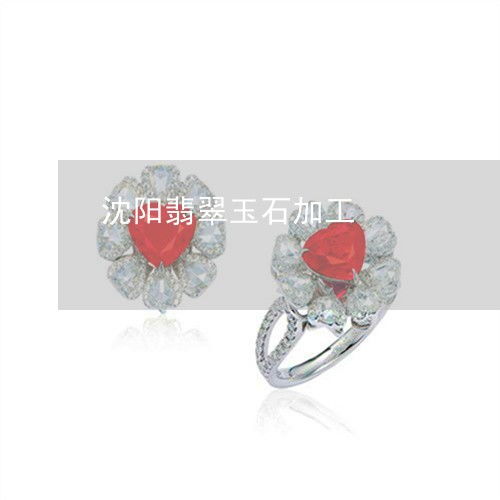 沈陽翡翠玉石加工產(chǎn)業(yè)與橡膠制品行業(yè)的協(xié)同發(fā)展探析